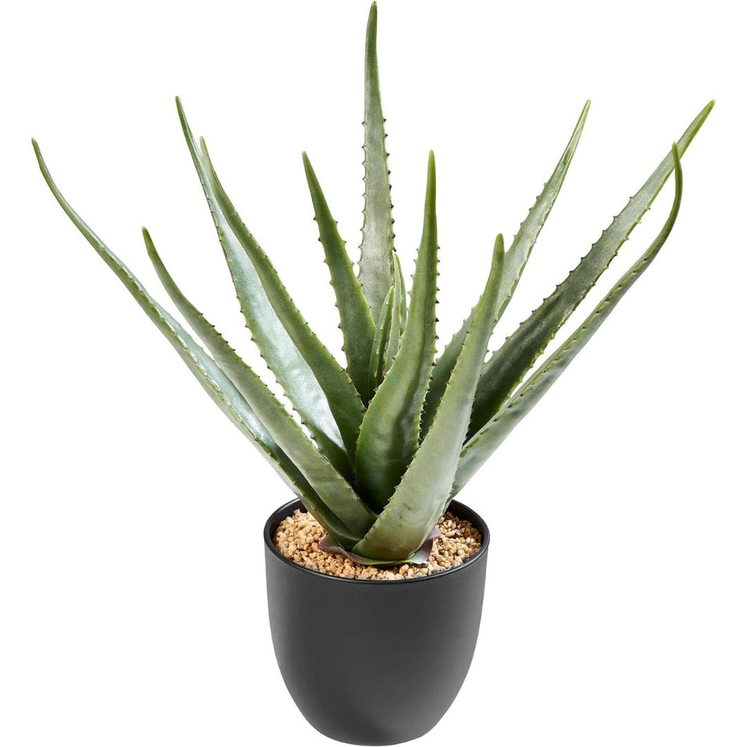 Kunstplant - Aloe vera - in pot - 50 x 50 x 50 cm - Potmaat 16,5 cm