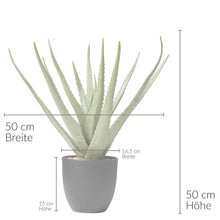 Afbeelding in Gallery-weergave laden, Kunstplant - Aloe vera - in pot - 50 x 50 x 50 cm - Potmaat 16,5 cm
