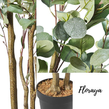 Afbeelding in Gallery-weergave laden, Kunstplant - Eucalyptus - Gunni Bush - 60 x 60 x 150 cm - Potmaat 19cm
