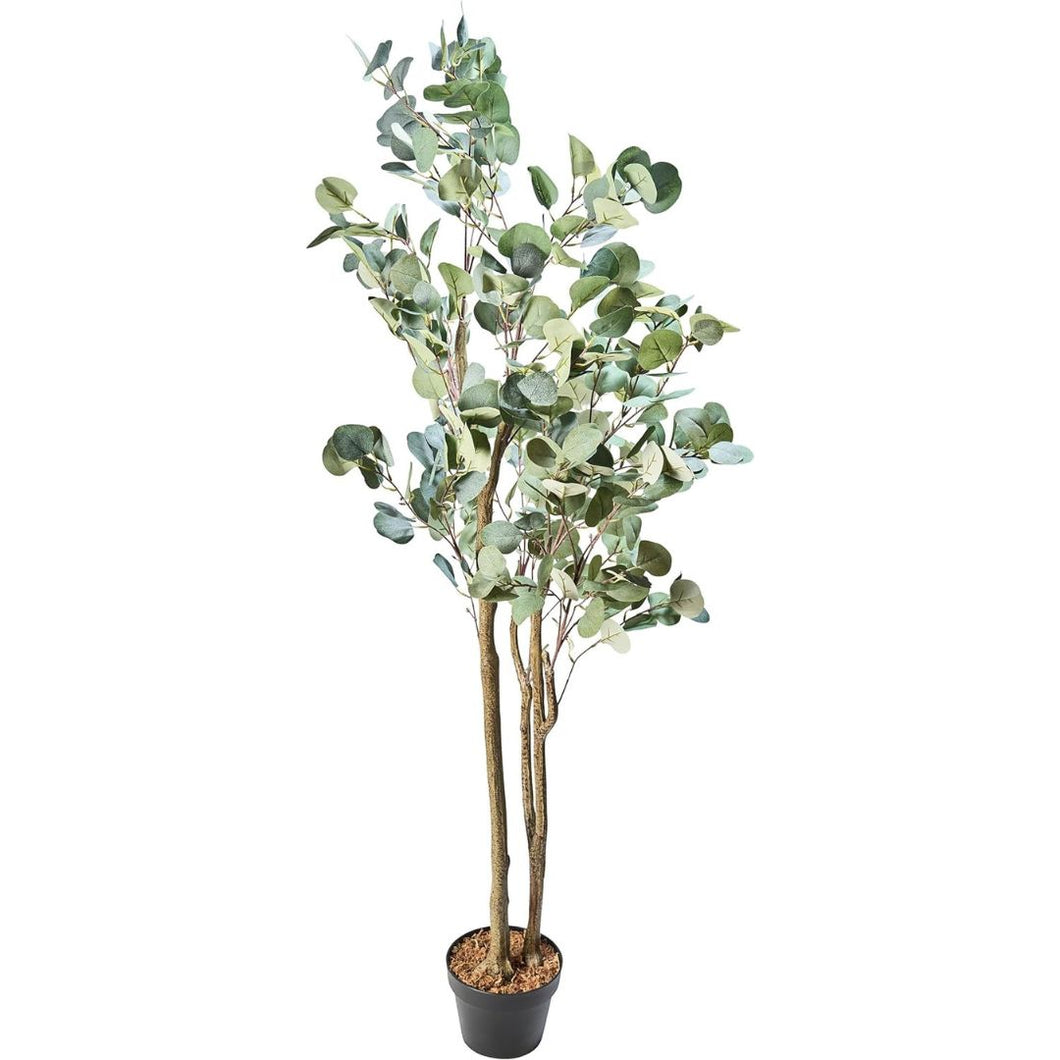 Kunstplant - Eucalyptus - Gunni Bush - 60 x 60 x 150 cm - Potmaat 19cm