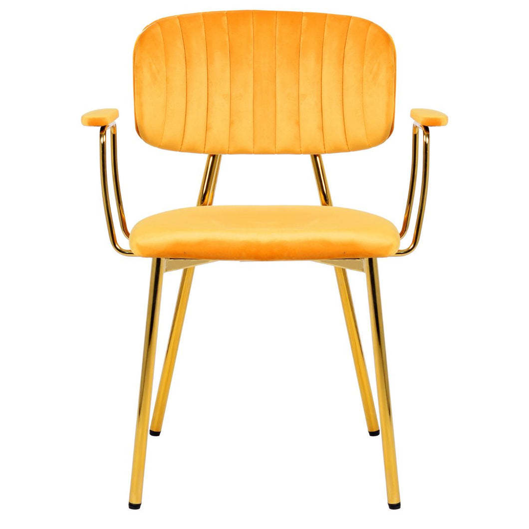 Floraya - Set 2 eetkamerstoelen Gisella - Diverse kleuren - Draagkracht 120KG