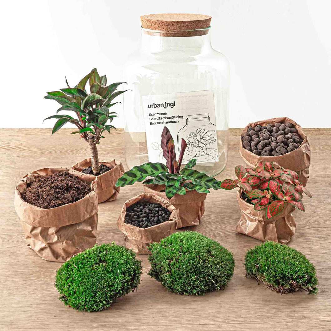 Floraya - DIY terrarium - Milky Palm - Hoogte 30cm - Doorsnede 21cm